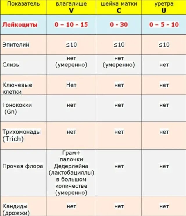 Лейкоциты в мазке у женщин норма. Гинекологический мазок лейкоциты норма. Лейкоциты уретра норма у женщин в мазке. Мазок на флору у женщин расшифровка результатов. Слизь на латинском