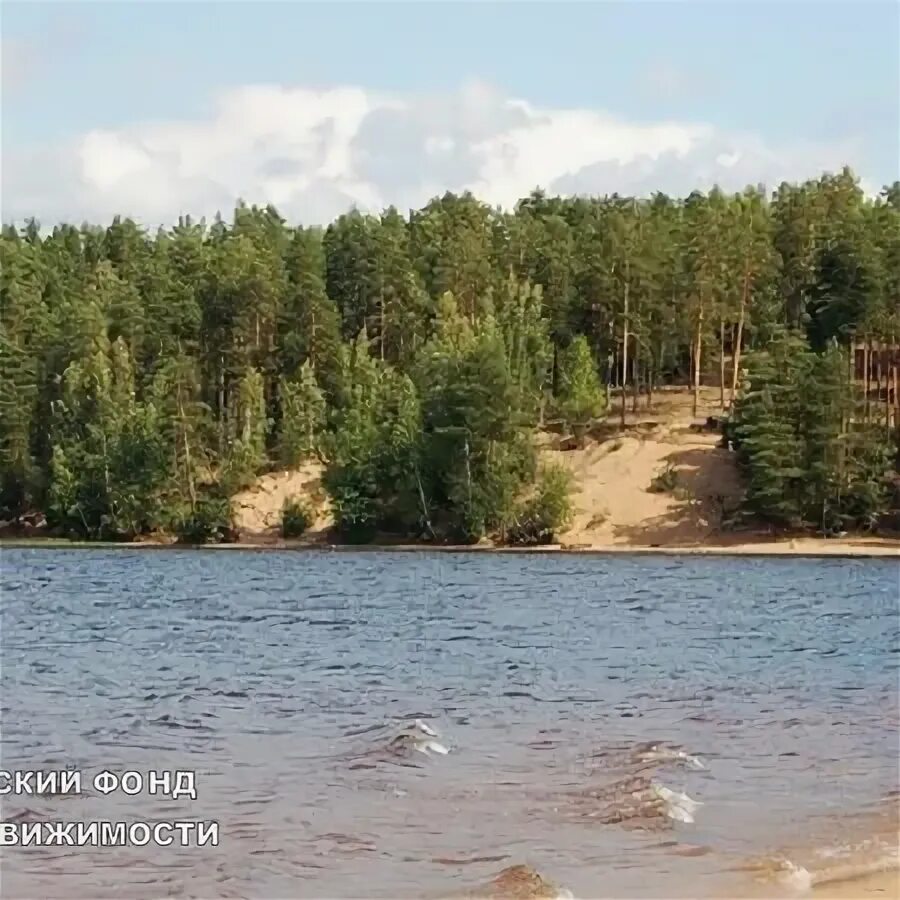 Озеро 75 км. Рено карьер. Станция карьер 75 км. Байдарская долина муловское озеро. Лыткарино карьер пляж.