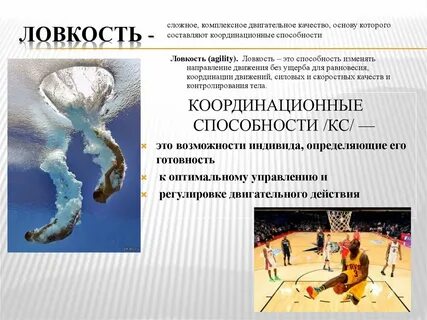 Ловкость и координация