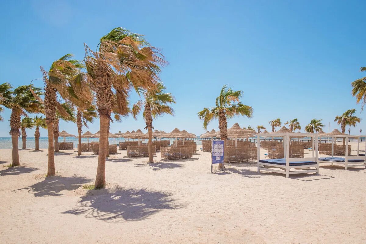 Beach club albatros amwaj. Альбатрос Бич клаб Абу сома Хургада. Albatros Beach Club 4 Египет. Pickalbatros Beach Club Resort - Abu Soma 4*. Отель Albatros Beach Club 5*.