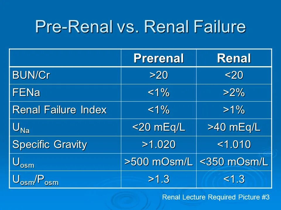 Renal перевод. Kidney перевод. Renal заключение. Renal medulla. Candioli ренал для кошек.