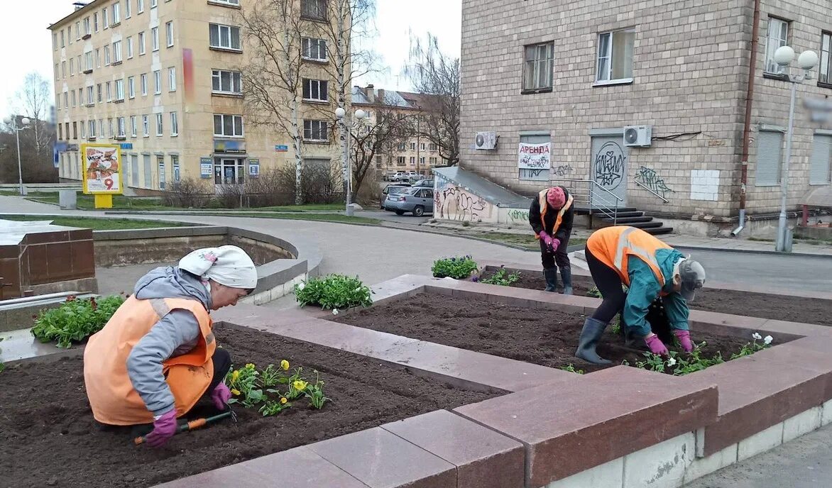 1 мая петрозаводск. Городской комбинат благоустройства Петрозаводск. Петрозаводск в мае. Бульвар Победы Петрозаводск. Петрозаводск на майские.