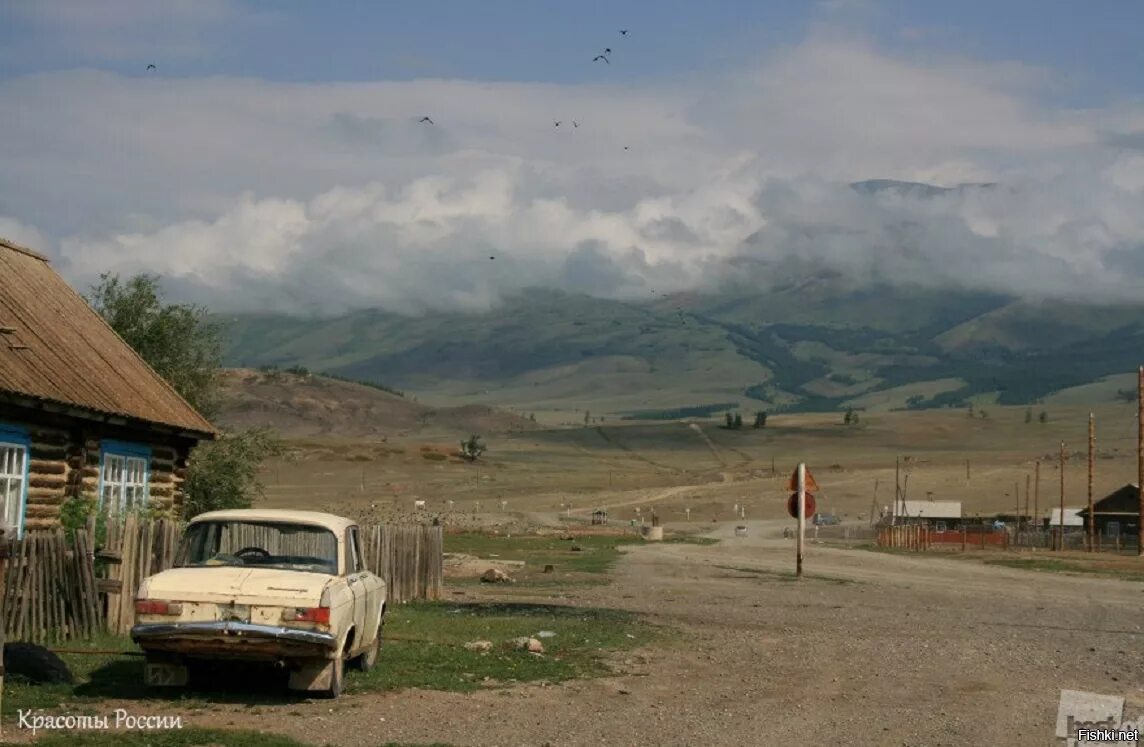 Курай Алтайский край. Село курай. Село курай Дзержинский район. Село курай Красноярский край.