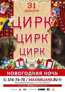 Цирк кот на новый год счастье принес
