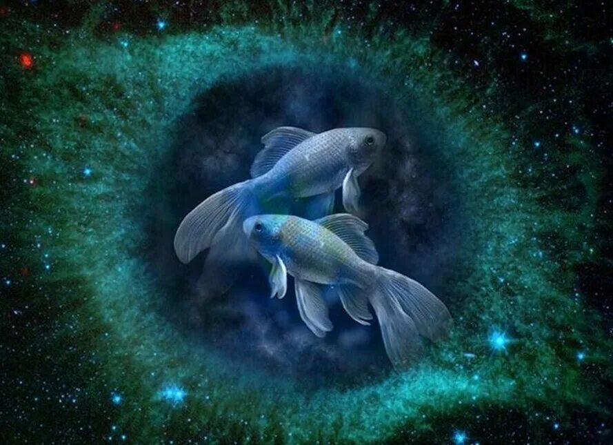 Знаки зодиака. Рыбы. Звездные рыбы. Созвездие рыбы. Красивый знак зодиака рыбы. Кармическая рыба