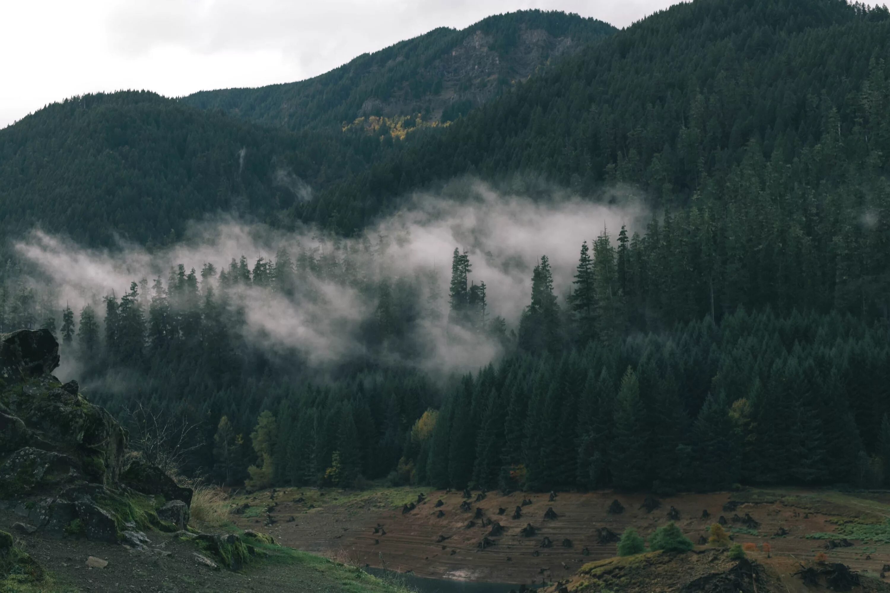 Т в лесах и на горах. Сарлык гора туманный лес. Меос туман в горах Белорецкий район .. Туманные холмы Норвегия. Лес горы туман.