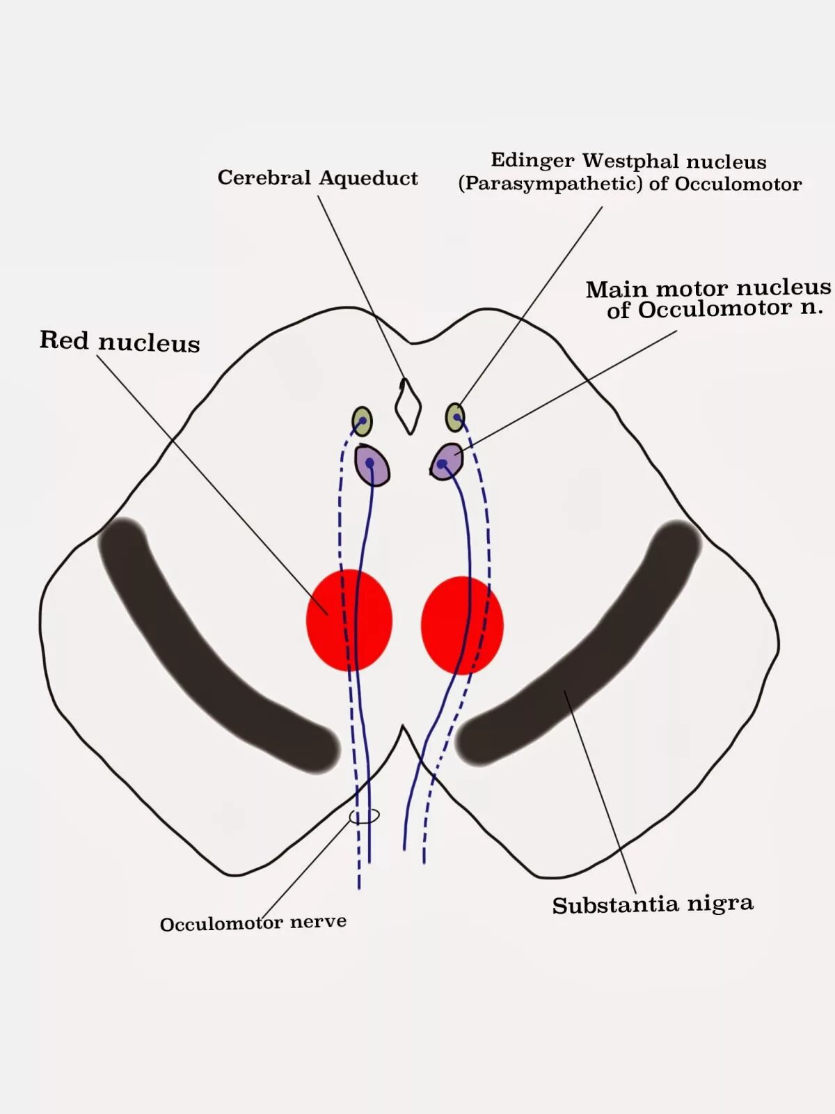 Nucleus splitting