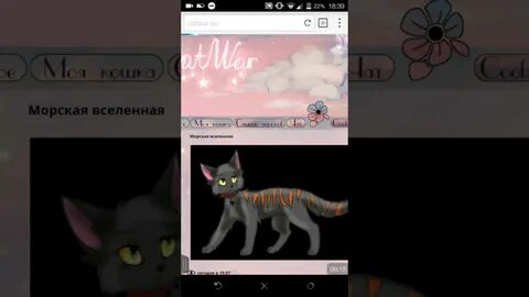 Кэтвар места во рту