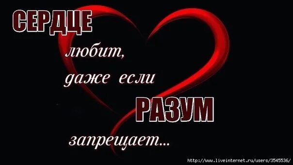 Почему запретили песню можно я с тобой. Цитаты о любящем сердце. Я буду любить тебя молча. Мое сердце. Сердце продолжит любить тебя.