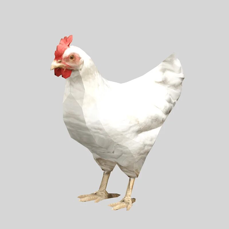 Chicken 3.8 01. Курица 3д модель. 3d модель курицы. Курочка 3 д модель. Три курицы.