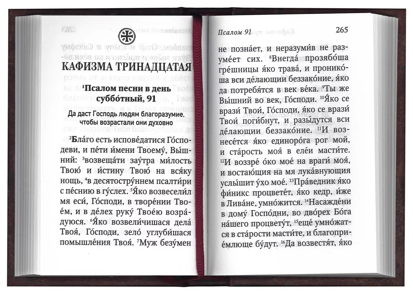 Псалмы преподобного Паисия Святогорца. Псалтирь с поучениями преподобного Паисия Святогорца. О Псалтири и псалмах. Псалтирь преподобного Паисия Святогорца с толкованием. 1 кафизма читать церковно