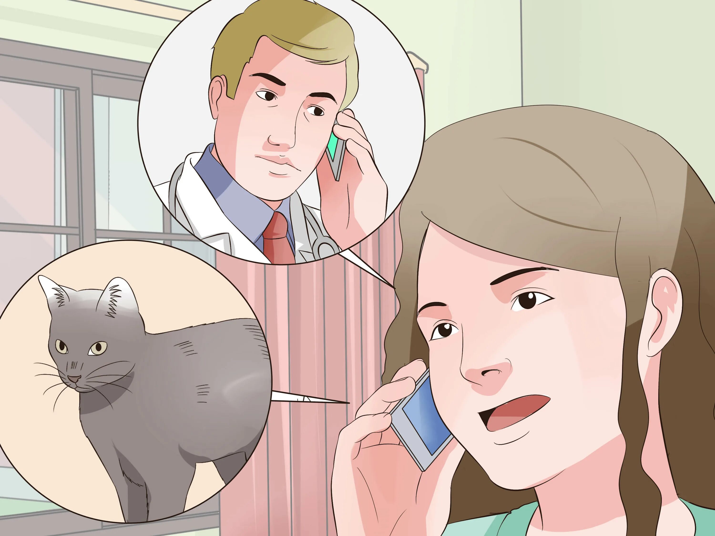 Как реанимировать котенка