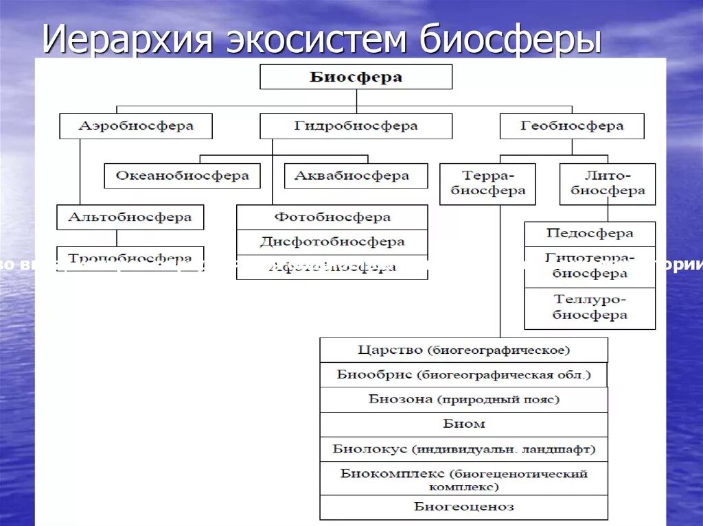 Уровни жизни экология