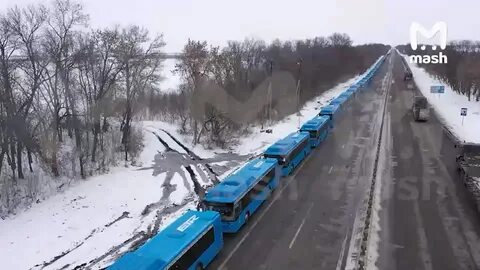 Три автобусные колонны со школьниками