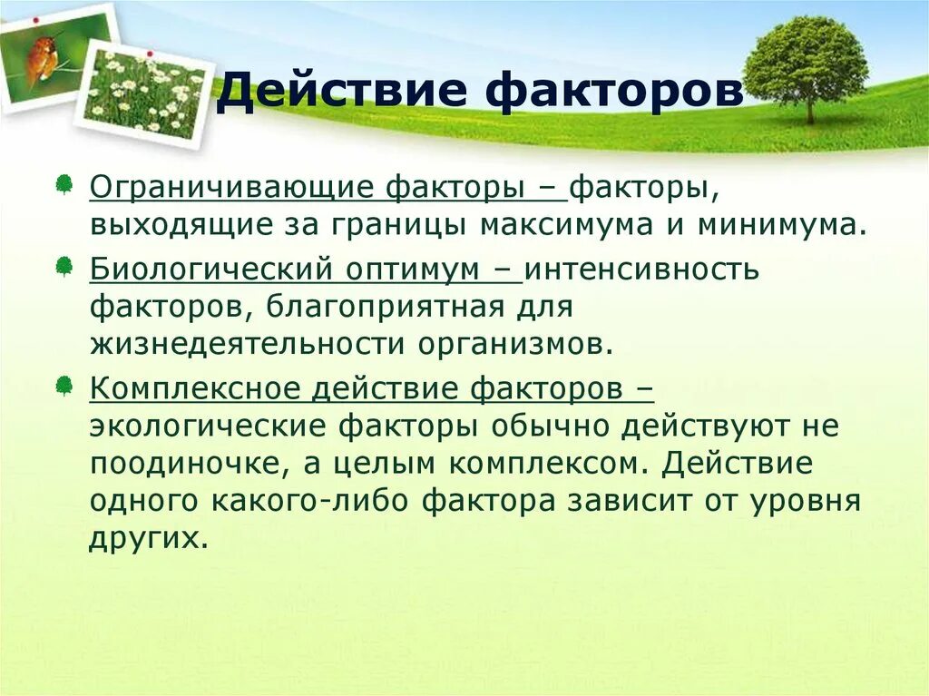 Экологические факторы. Ограничивающий фактор в экологии. Понятие экология. Экологические факторы это в экологии. Законы экологии факторов