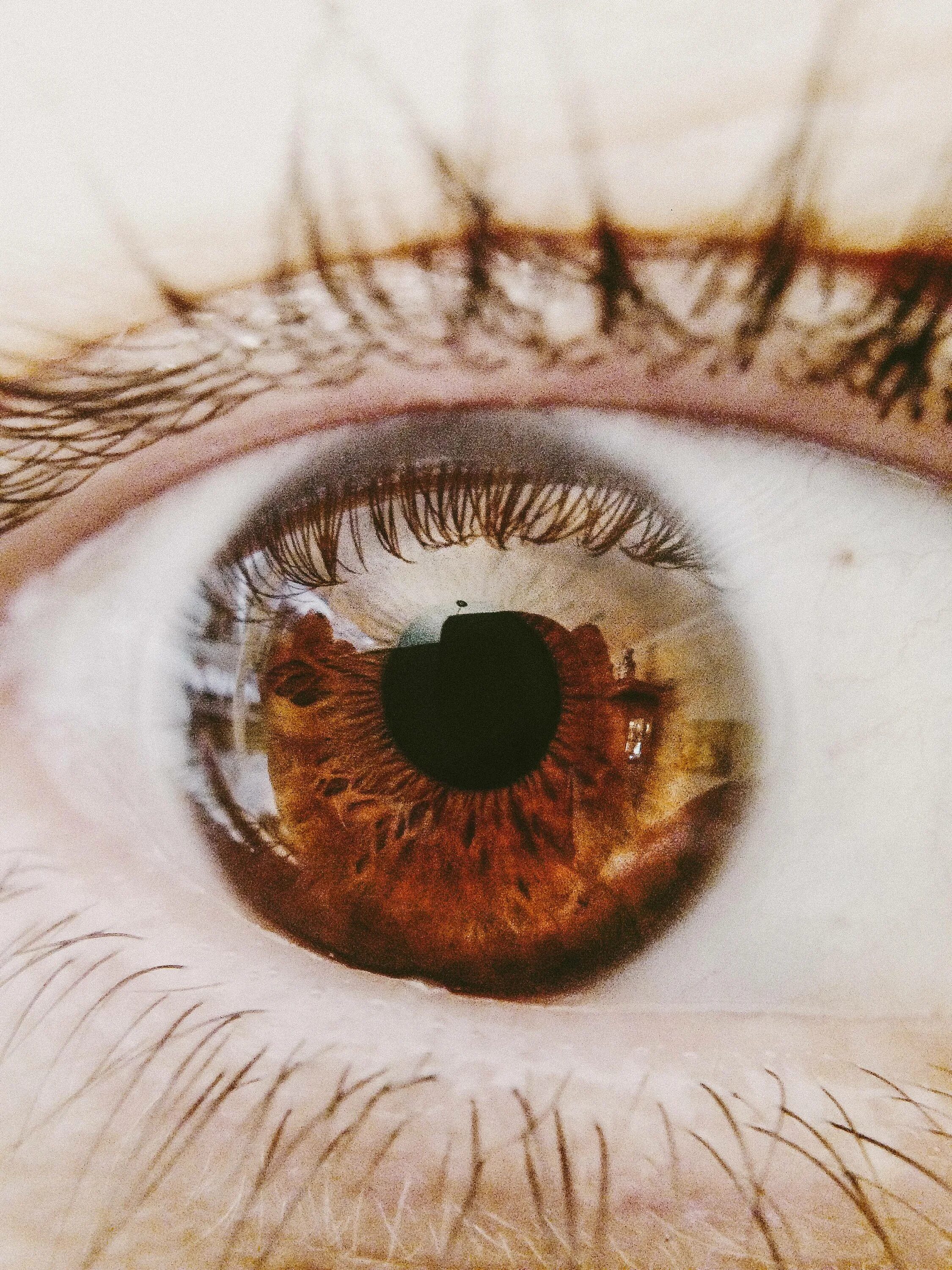 Карие или карии. Карие галаз. Темный янтарь цвет глаз. Карие глаза. Янтарные глаза.