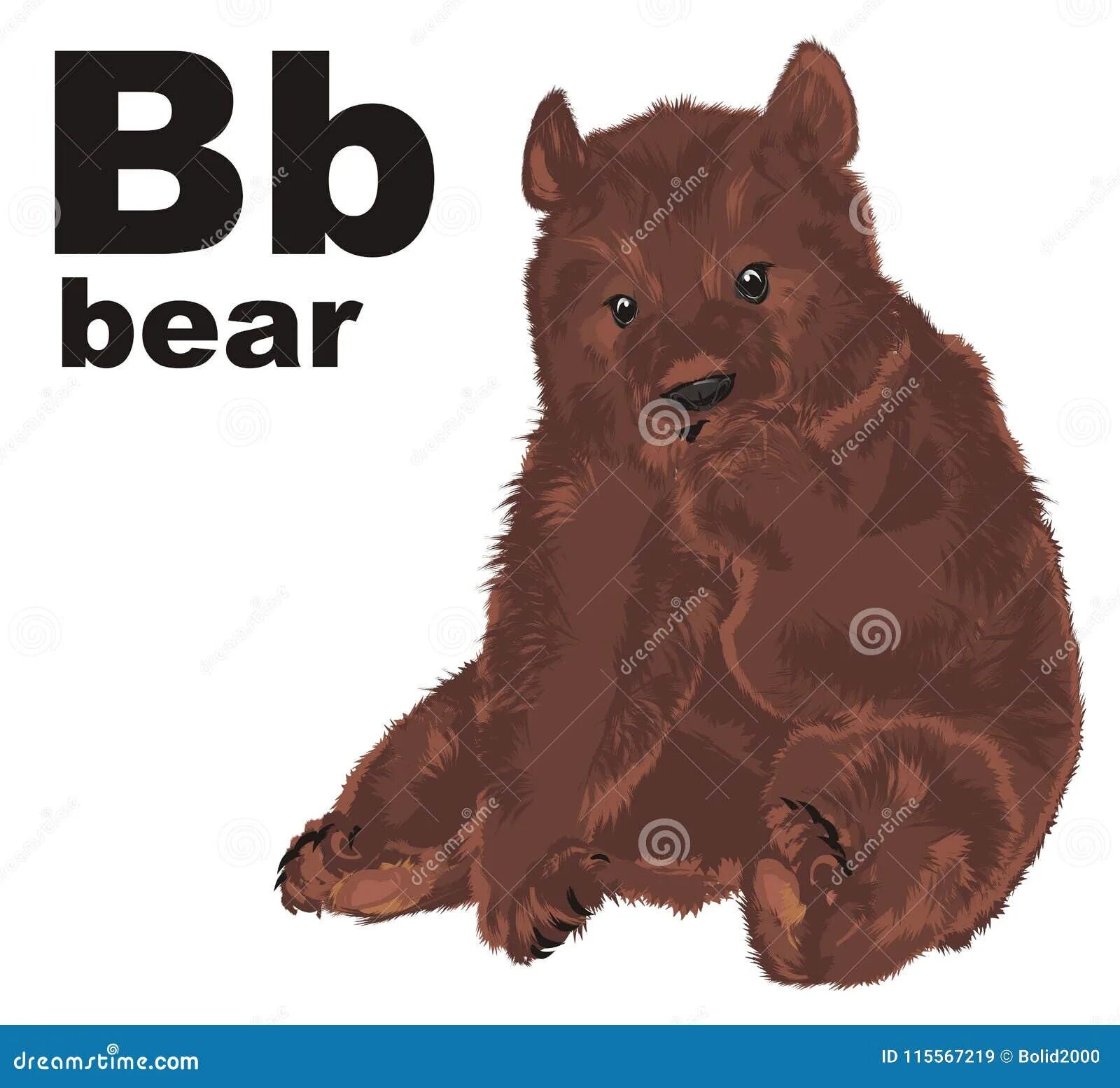 Bear слово. Слово бир в виде медведя. Слово медведь с обводкой. Медведь с буквой z картинка.