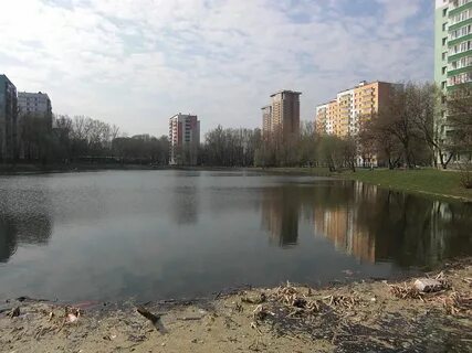 Родниковом пруду