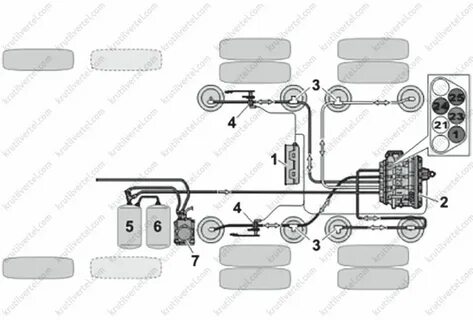 Бүкіл отбасымен жыныстық қатынас