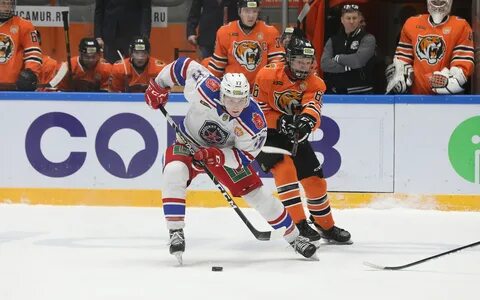 Амурские тигры прогноз на сегодня