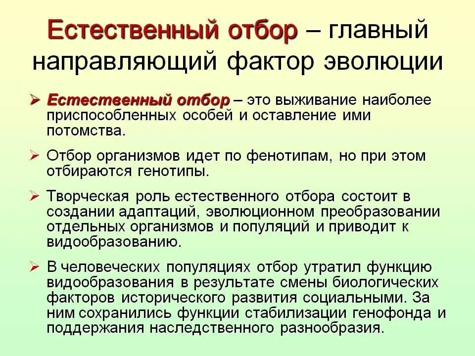 Сохраняет особей с полезными для них признаками. Естественный отбор. Естественный отбор направляющий фактор эволюции. Творческая роль отбора в эволюции. Понятие естественного отбора.