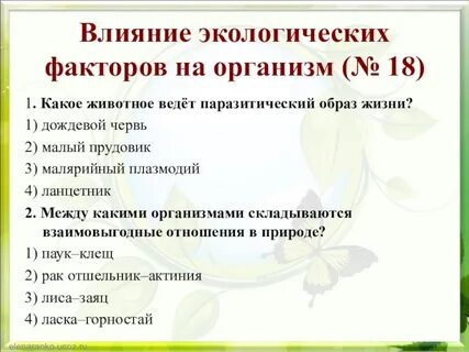 Какое животное ведет асоциальный образ жизни