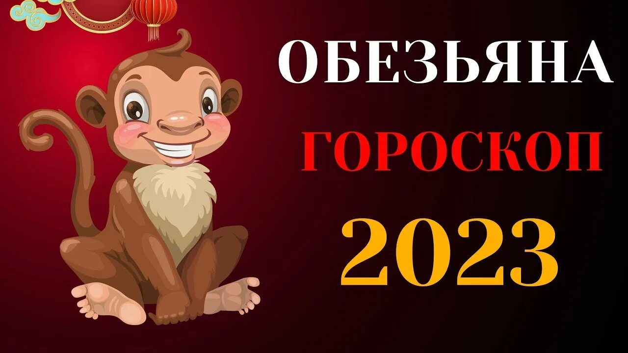 Обезьяна 2023 год