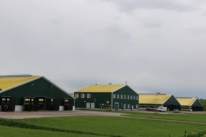 Дмитрова гора 8а. Агрофирма дмитрова гора. дмитрова гора тверская область агрофирма. агрофирма дмитрова гора ржев. спк дмитровы горы.