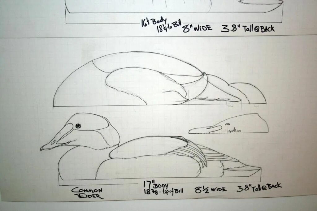 Уточка чертеж. Чертеж утки. Сопряжения в черчении задания. Профиль утки из фанеры. Выкройка утки.