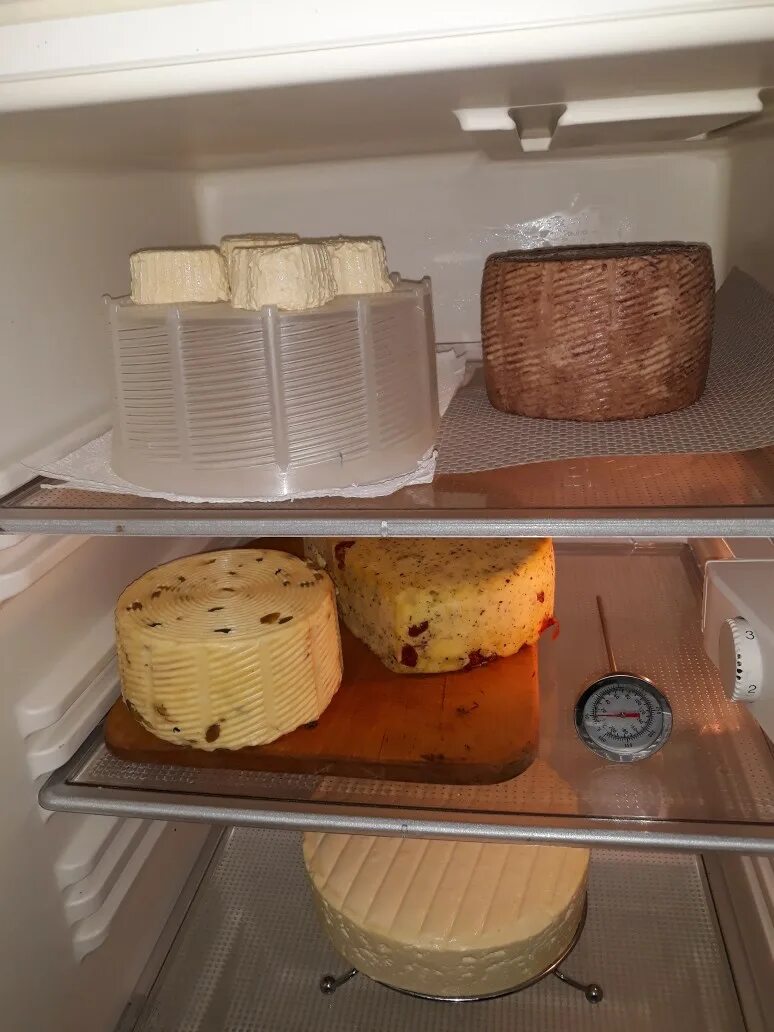 Как сохранить сыр в холодильник свежим. Холодильник для вызревания сыра. Холодильник для созревания сыра. Сыр в холодильнике. Холодильник для обсушки сыра.