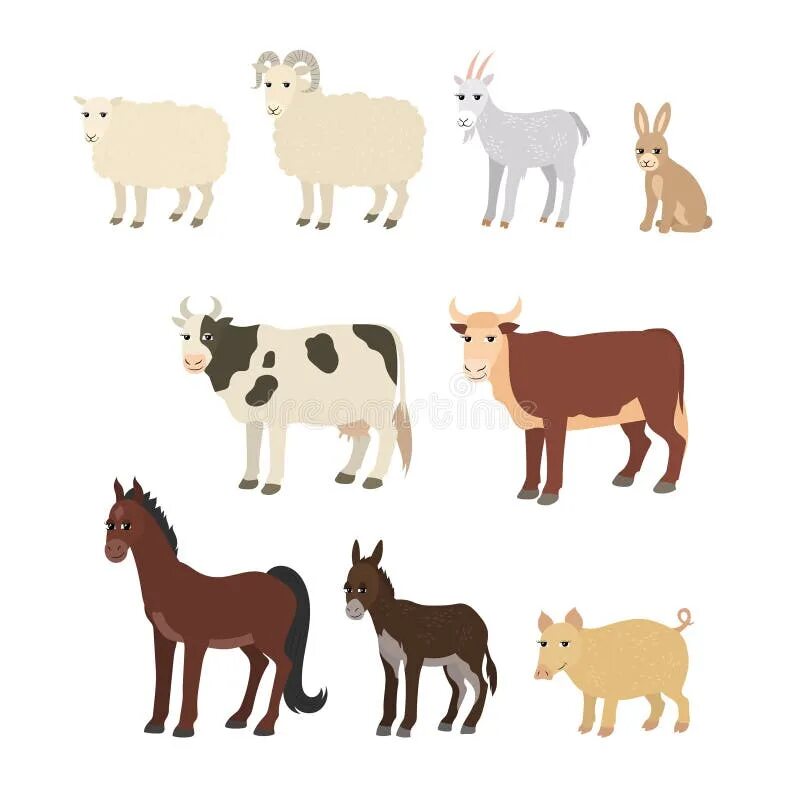 Животные корова коза. Корова лошадь коза. Домашние животные корова свинья лошадь. Корова овца лошадь. Корова коза овца свинья