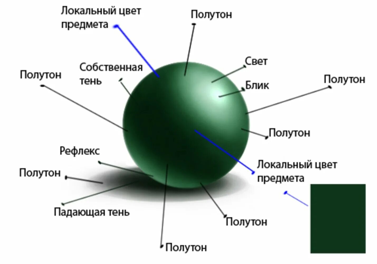 Шар тень полутень блик рефлекс. Свет тень рефлекс в живописи. Блики и рефлексы в живописи. Светотень в живописи. Свет и тень текст