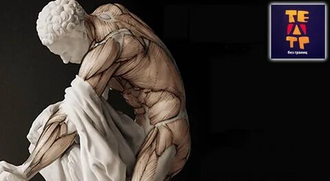 Anatomy for artists