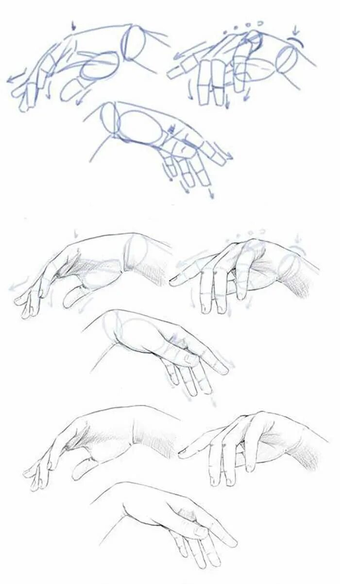Кисти рук для рисования. Поэтапное рисование рук. Кисть руки рисунок. Руки поэтапно карандашом.