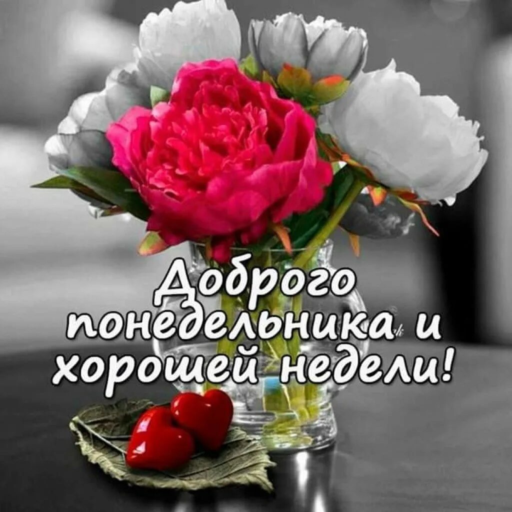 Открытки с понедельником. Открытки с началом недели. Открытки с понедельником. Понедельник пожелания. Открытки с пожеланием хорошей недели.