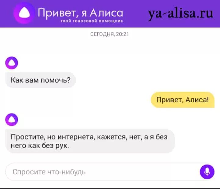 Алиса включи поговорим. Пообщаться с Алисой. Разговор с Алисой. Алиса поговорить с Алисой.