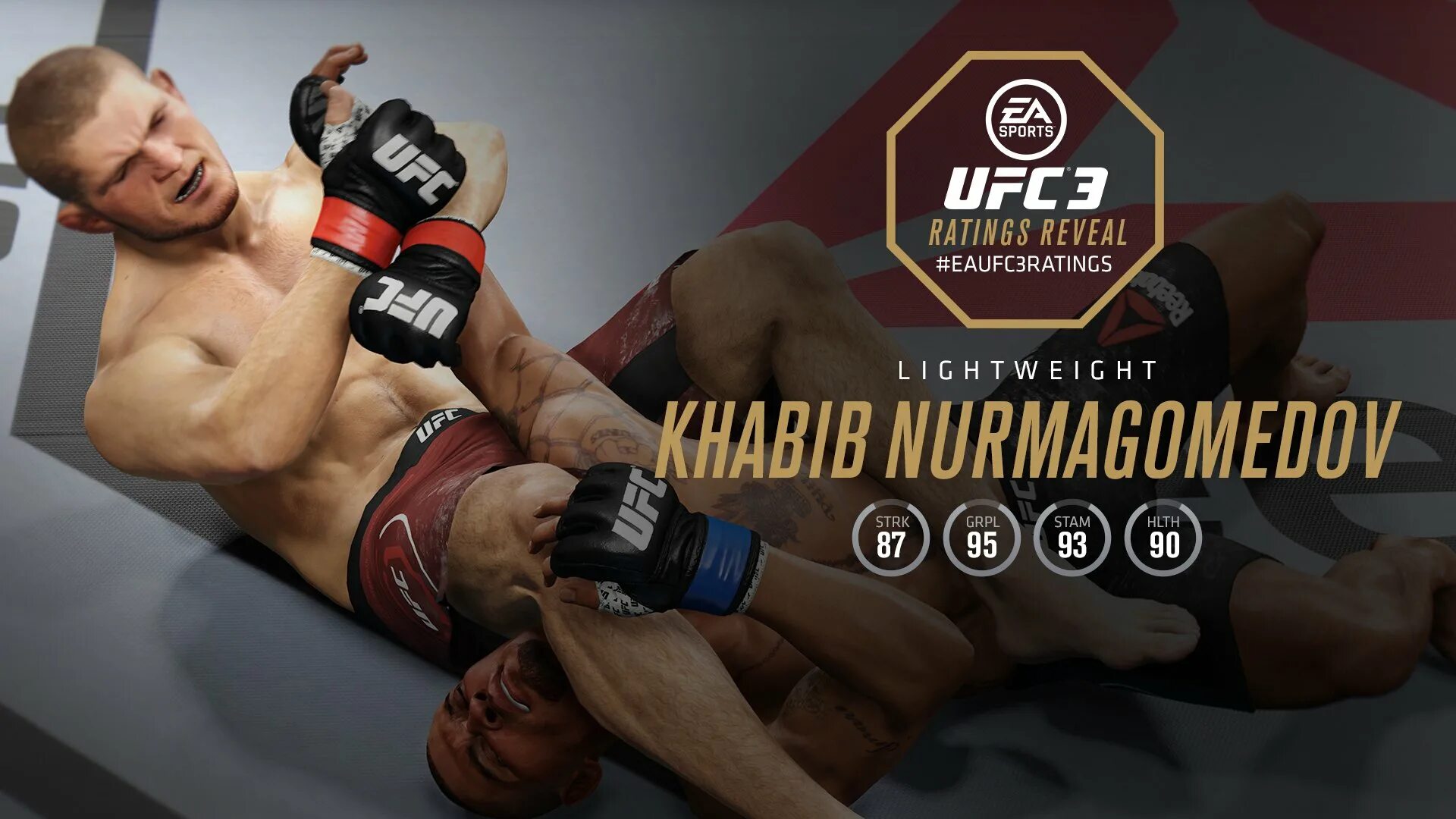 Книга ее боец. UFC 4 карточки.