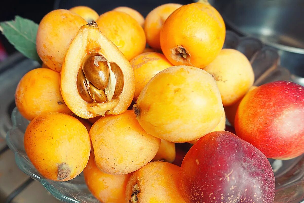 Какой фрукт не созревает в сочи манго. Мушмула. Фрукт в Абхазии мушмула. Азгил мушмула. Мушмула японская локва.