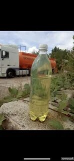 Бензин в новороссийске