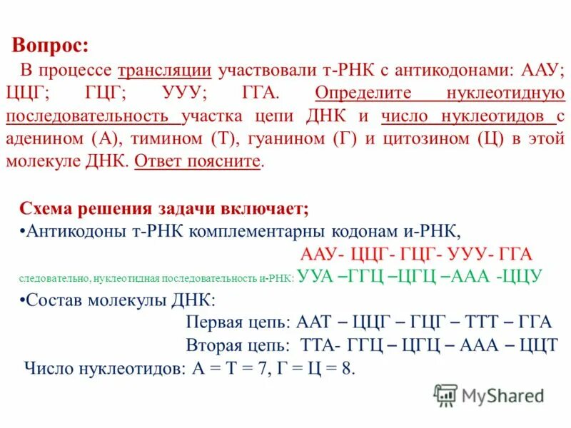 Изменение нуклеотидной последовательности