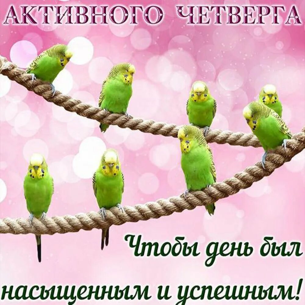 Сегодня легкий день. Добрый день четверг. открытки с четвергом позитивные. открытки хорошего четверга. открытки с пожеланием удачного четверга.