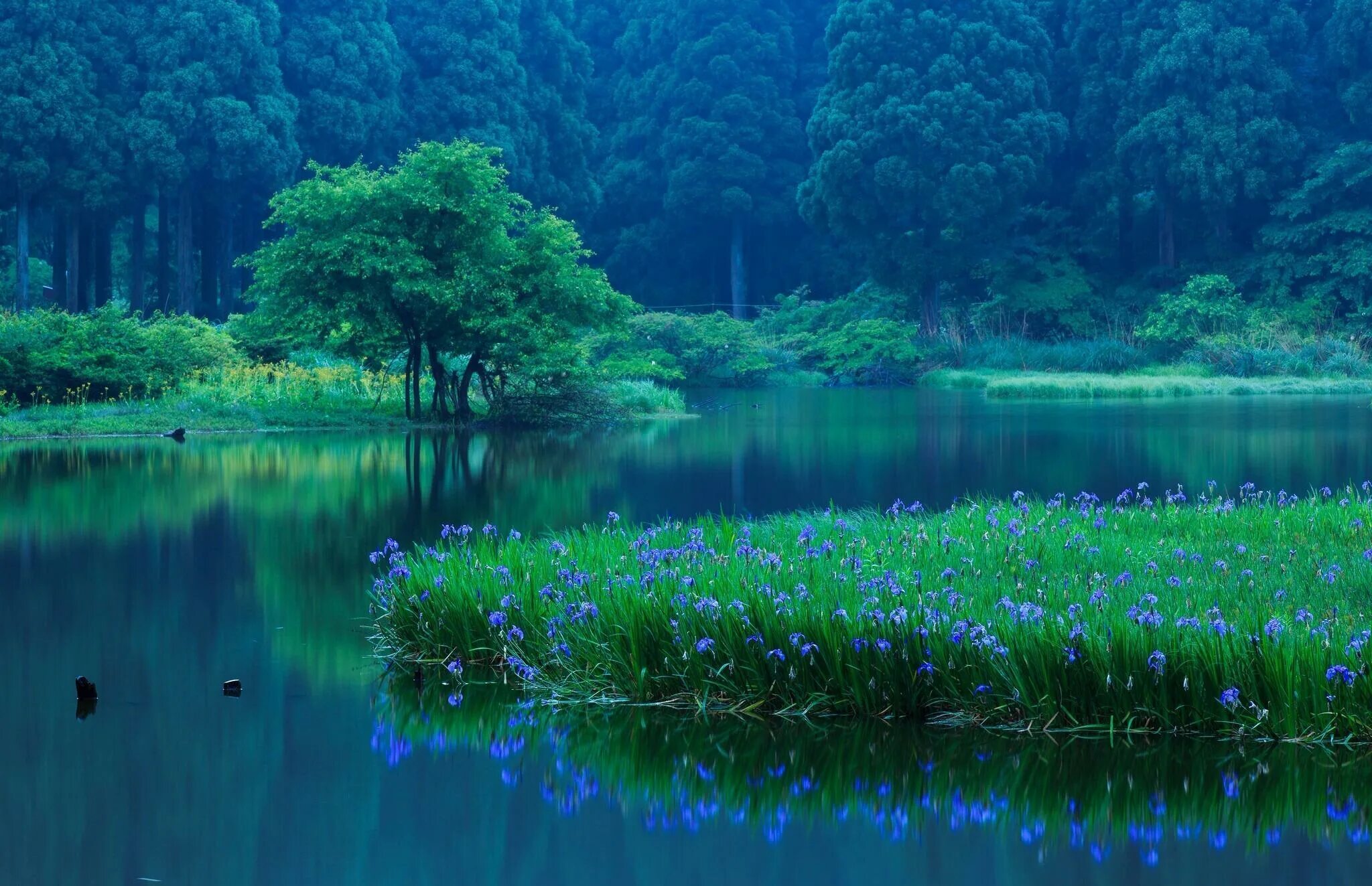 Реки сини. Природа. Синяя природа. Успокаивающий пейзаж. Сказочное озеро.