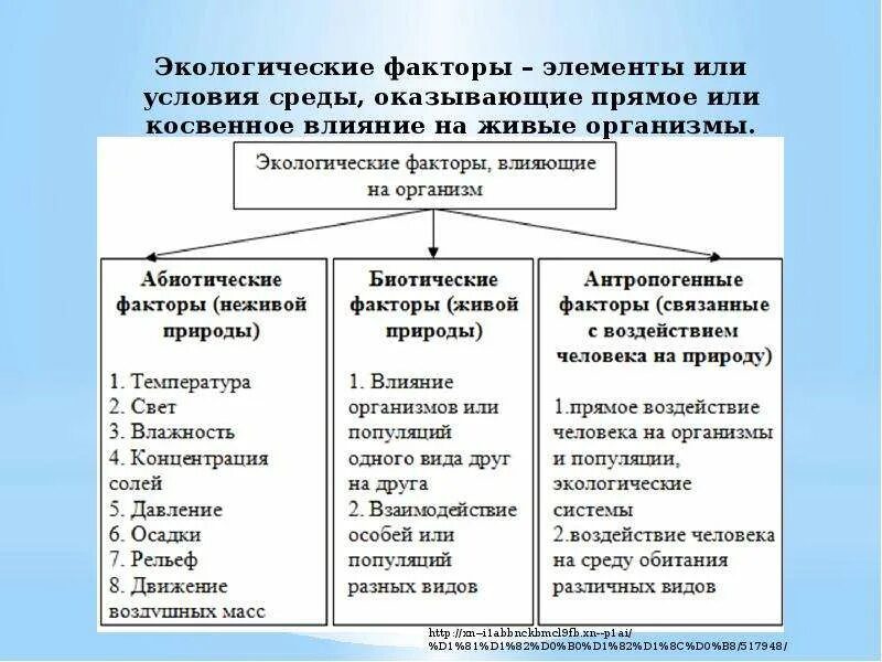 Экологические факторы - элементы или условия среды, оказывающие прямое или косве