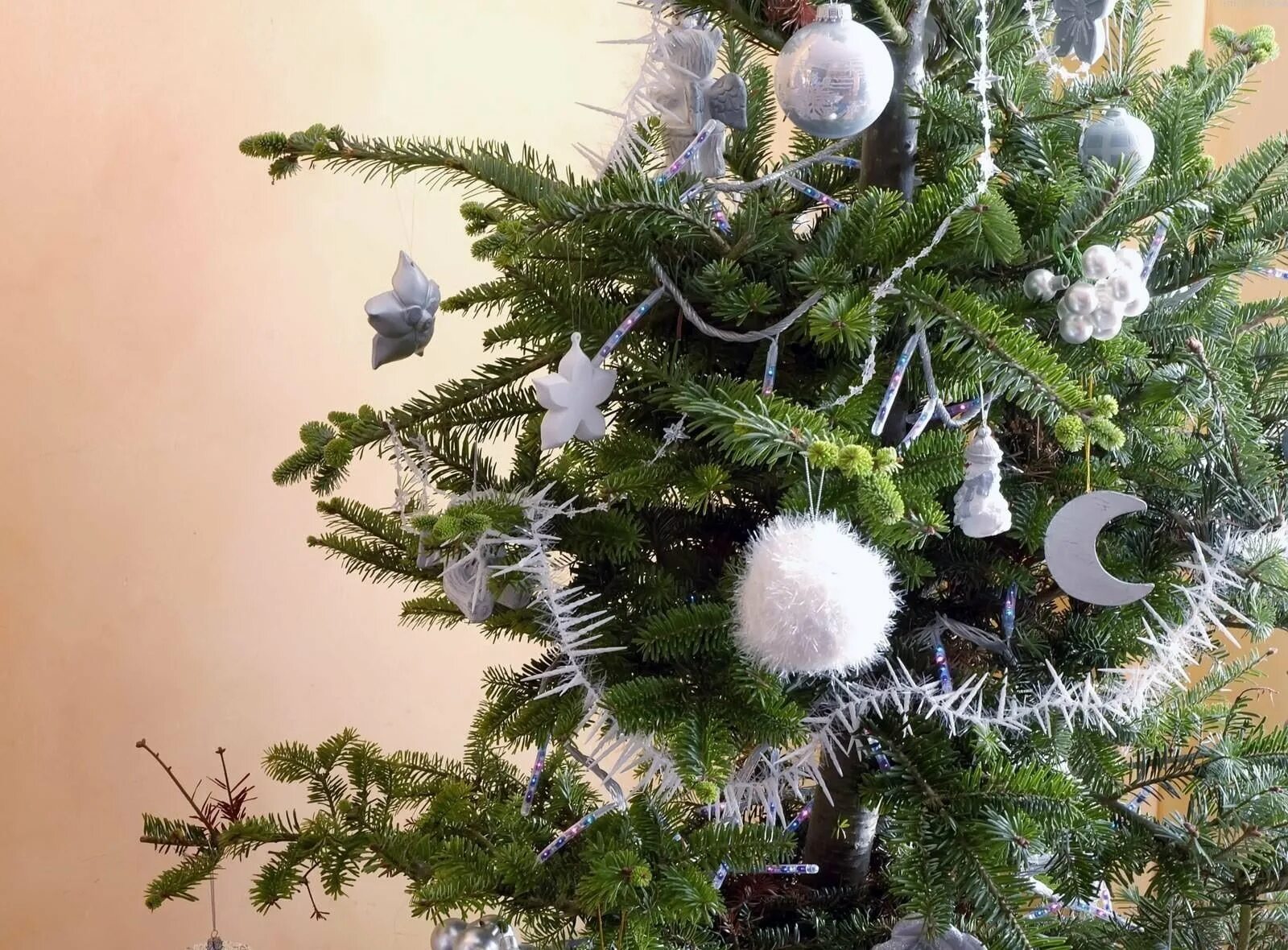 Green christmas tree