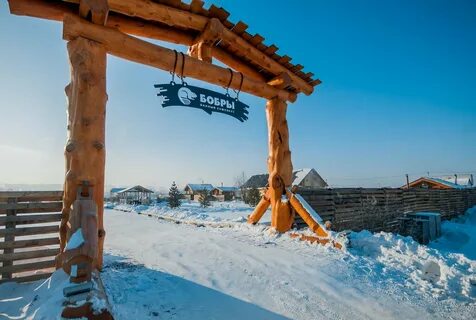 Бобры красноярск