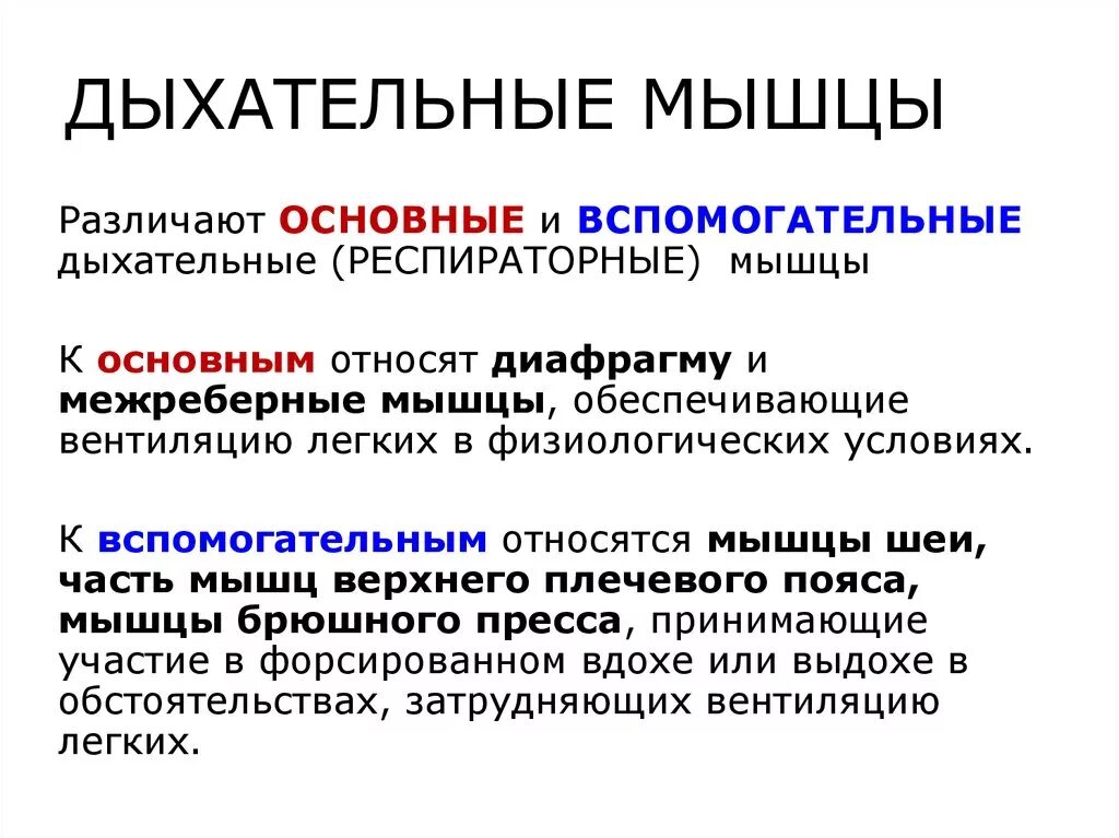 Движение функции дыхания. Мышцы выдоха основные и вспомогательные. Дыхательные мышцы таблица. Мышцы участвующие в акте дыхания основные и вспомогательные. Инспираторные мышцы основные и вспомогательные.