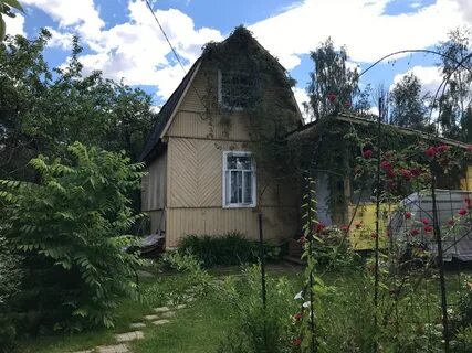 Снт дружба 4
