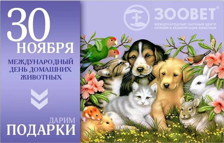 30 ноября день животных. День домашних животных. 30 Ноября день домашних животных. Праздник Всемирный день домашних животных. 30 Ноября праздник Всемирный день домашних животных.