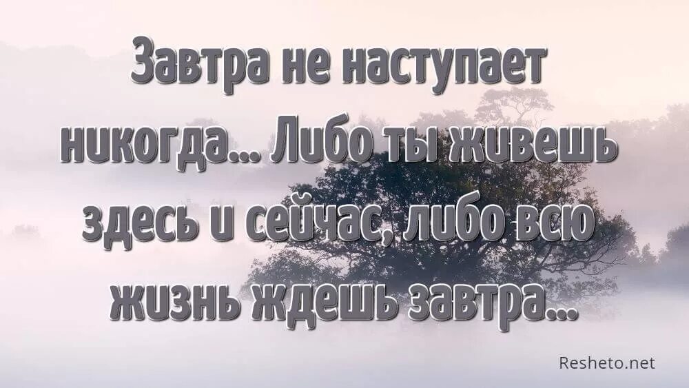 Статусы для ватсапа жизненные. Статусы для ватсапа короткие со смыслом Мудрые. Статус для ватсапа короткие со смыслом о жизни. Статусы про жизнь со смыслом для ватсапа.