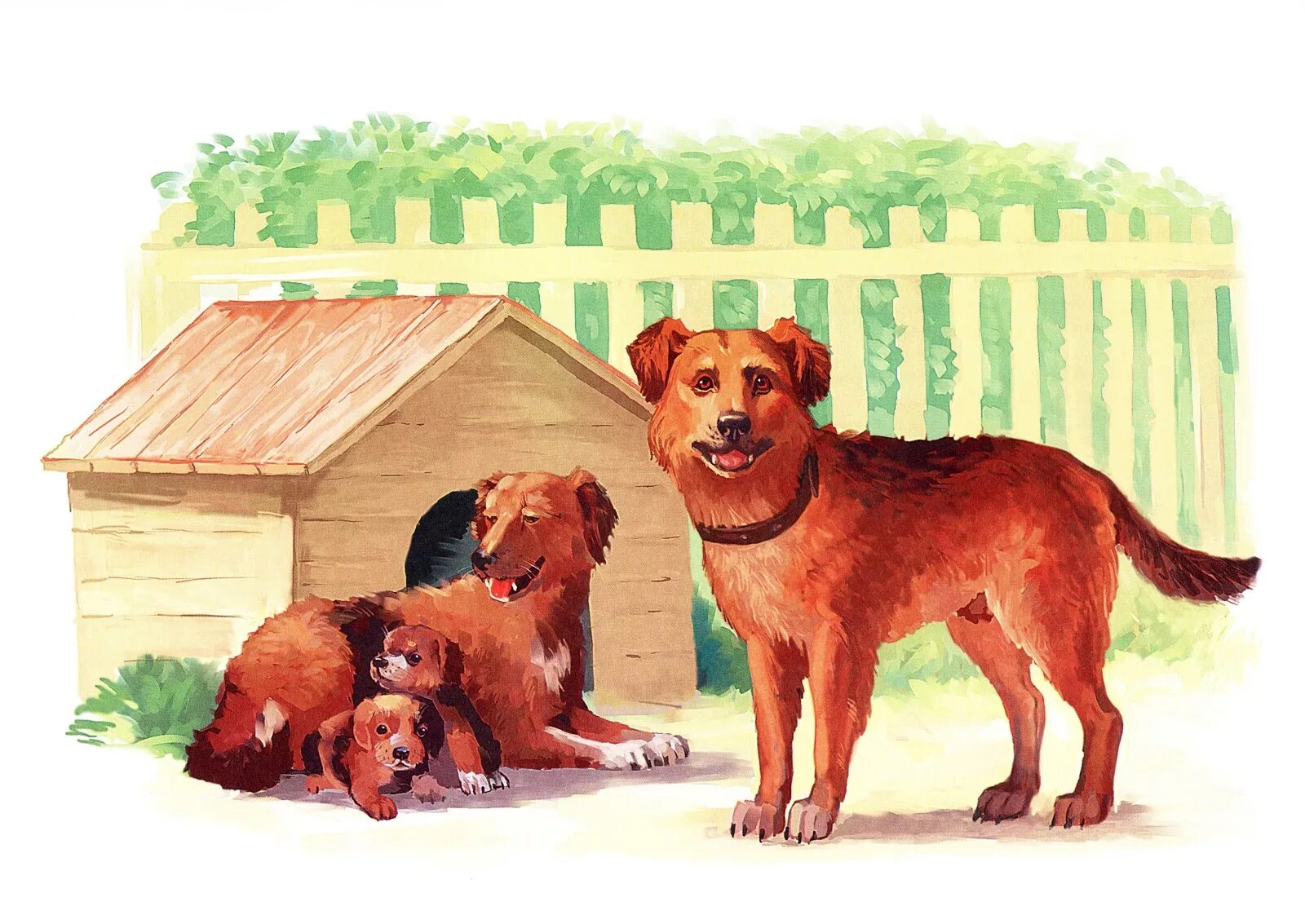 Собаки там. Семьи домашних животных. Домашние животные для детского сада. Иллюстрации домашних животных. Собака со щенятами картина для детского сада.